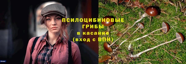прущая мука Белокуриха