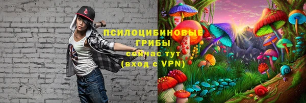 тгк Беломорск