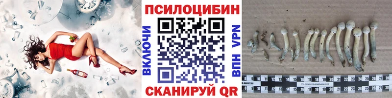 Псилоцибиновые грибы Cubensis  OMG tor  Реутов 