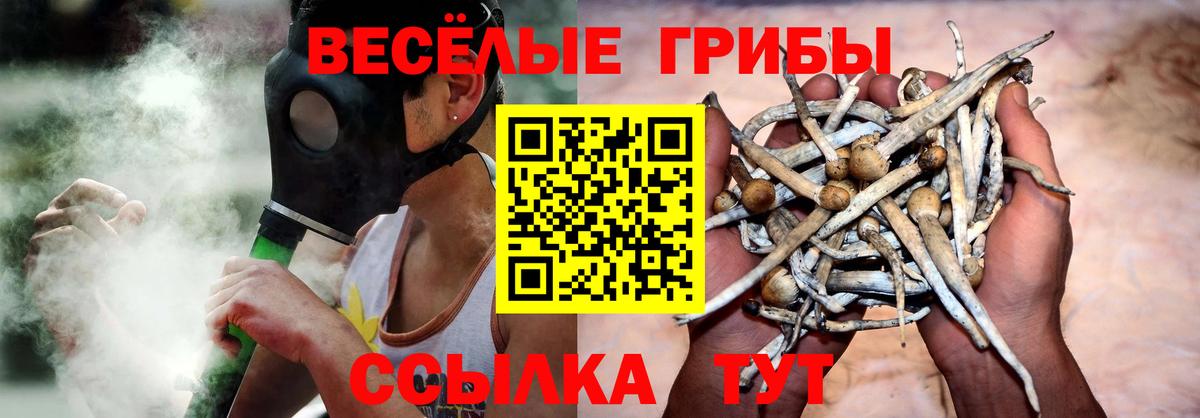 Реутов  Галлюциногенные грибы ЛСД  купить наркоту  Вход с VPN 